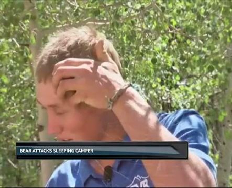 Bear attacks sleeping camper