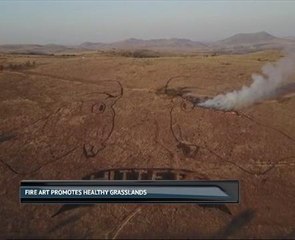 🔥 Fire Art Sparks Eco-Friendly Grassland Conservation in South Africa