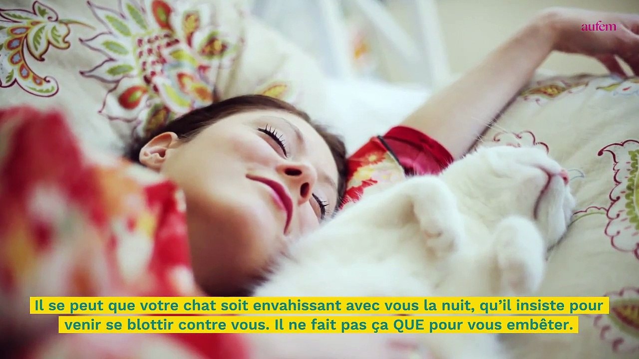 Pourquoi votre chat vient-il se blottir contre...