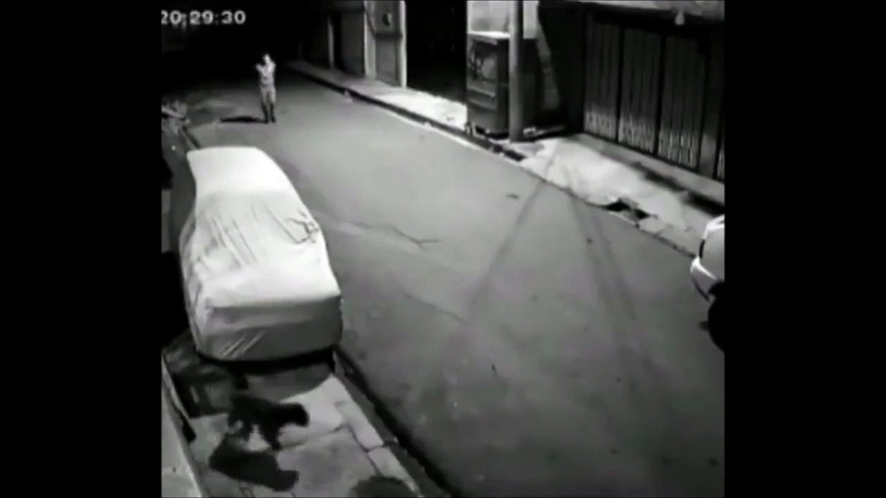 Il veut donner un coup de pied à un chien mais le karma le rattrape