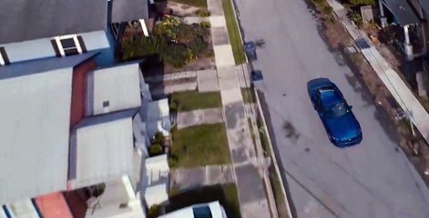 The Most Dangerous Animal of All S01 E02