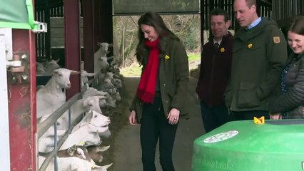 The Cambridges visit farm in Wales