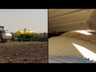 Our economy's newest threat - soy beans?