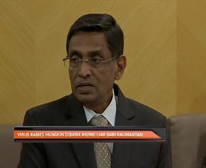 Virus rabies mungkin dibawa anjing liar dari Kalimantan