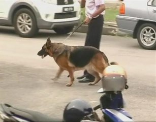 JPN Sarawak diarah pantau virus rabies