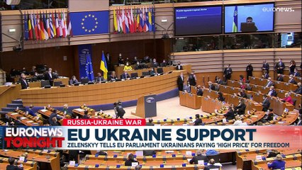 Watch: 'Prove that you're with us,' Ukraine's Zelenskyy tells MEPs