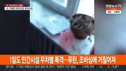 민간인 포격·금지무기 진공폭탄 등장…푸틴의 조바심?