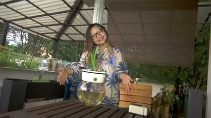 Eko Santai (Episod 10): Poptani