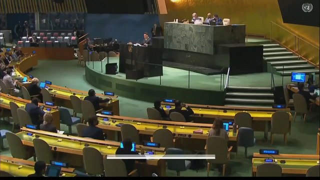 Venezuela's representative to the UN condemns US role in the Ukrainian situation