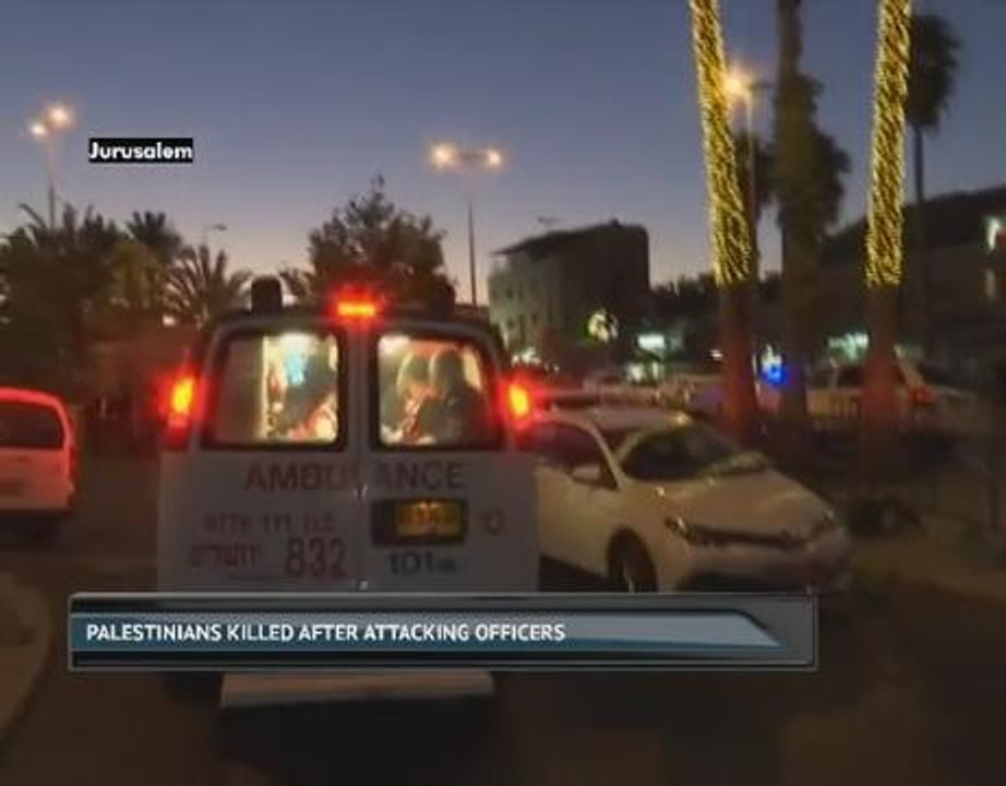 Palestinians killed after attacking officers