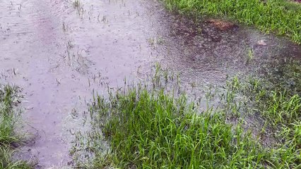 Tongarra road Albion park about to be closed | March 2, 2022 | Illawarra Mercury