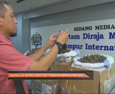 Kastam KLIA rampas 400kg sisik tenggiling bernilai RM5 juta