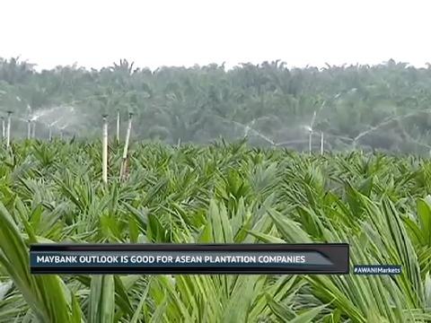 Bull on regional plantations & consumer