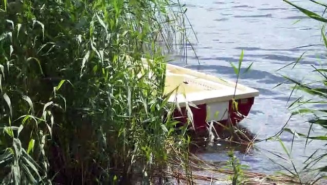 14614300_przewodnik-rowerowy-drawsko-pomorskie-odcinek-3_720P