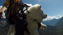 Weather plays important factor for paragliding dog and owner to take flight