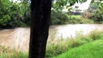 FLOODING AND HEAVY RAIN ACROSS THE SOUTHERN HIGHLANDS AND TABLELANDS - MARCH 2, 2022 - SOUTHERN HIGHLAND NEWS