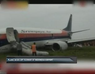 Plane skids off runway at Indonesia airport