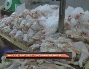 Harga ayam daging kembali stabil pertengahan Ramadan