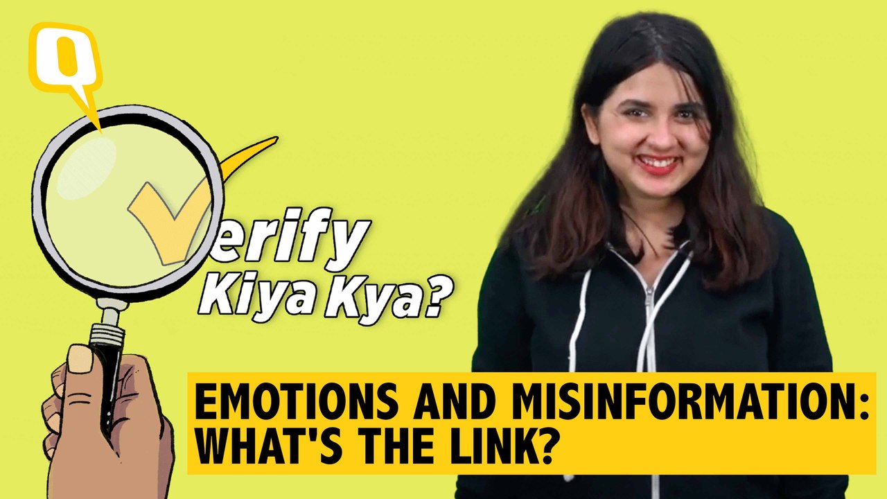 Emotions – How Do They Make Us Susceptible to Misinformation?