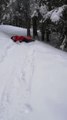 Man Collides With Tree While Sledding