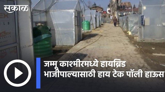 Jammu Kashimr |जम्मू काश्मीरमध्ये हायब्रिड भाजीपाल्यासाठी हाय टेक पॉली हाऊस | Sakal |