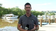 Qld Police launch operation to crack down on flood looters