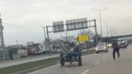 Bursa’da sürücüsüz at arabası trafiği birbirine kattı