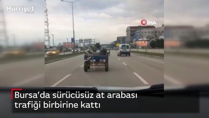 Bursa’da sürücüsüz at arabası trafiği birbirine kattı
