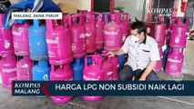 Harga LPG Non Subsidi Naik