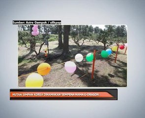 Hutan simpan Korea dinamakan sempena nama G-Dragon