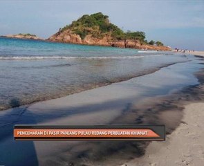 Pencemaran di Pasir Panjang Pulau Redang perbuatan khianat