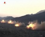 Japan: NKorea missile may be new type