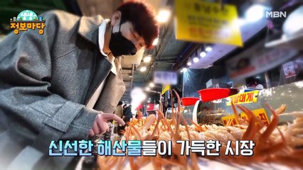 생생 정보마당 [1062회]