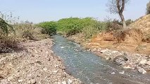 राजस्थान में यहां बांध टूटने से खेतों व घरों में घुसा पानी, रास्ते पर बैठे ग्रामीण