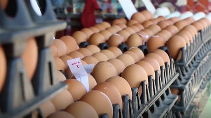 ไข่ไก่ปรับขึ้นราคาแล้ว คาด 2-3 สัปดาห์ ปรับลดลง