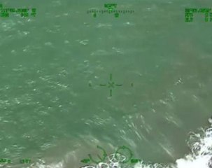 Multiple sharks spotted off the coast of California