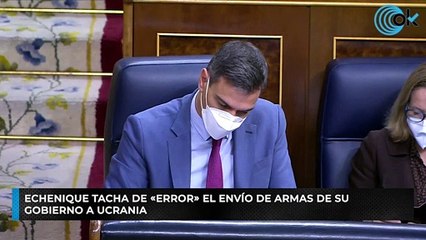 Echenique tacha de «error» el envío de armas de su Gobierno a Ucrania