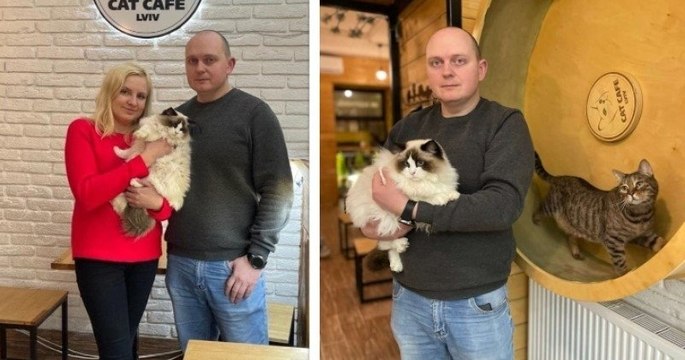 Ukraine : pour ne pas abandonner ses animaux, ce gérant d'un bar à chats a décidé de ne pas fuir son pays