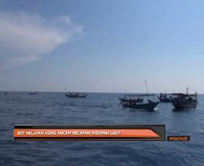 Bot nelayan asing ancam nelayan, hidupan laut