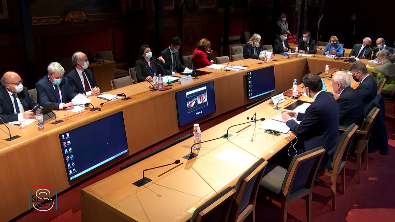 Audition de l'Ambassadeur, Chef de la mission de Palestine en France