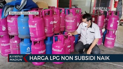 Harga LPG Non Subsidi Naik