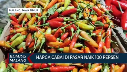 Makin Pedas!! Harga Cabai Di Pasar Naik 100 Persen