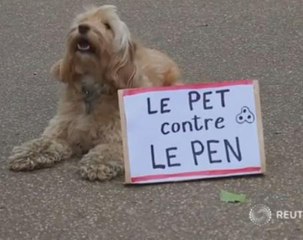 Dogs join fight against far-right ahead of French election