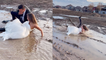 'Hilarious footage of newly married couple falling in muddy water during photoshoot '