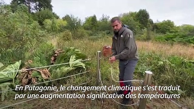 Au Chili, la fonte rapide des glaciers, indicateur du réchauffement climatique
