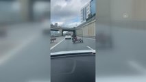 Son dakika haber! İstanbul'da sepetli motosikletle tehlikeli yolculuk cep telefonu kamerasında