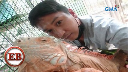 Eat Bulaga: Wild animals, kayang paamuin ng isang pet trainer