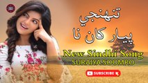 Tunjy Pyar Kha Na | Suraiya Soomro | New Sindhi Song | Sindhi Gaana