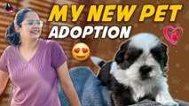My New Pet Adoption | Adopted a Dog | Life of Pooja
