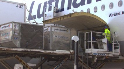 Las sanciones a Rusia afectan a las cadenas de suministro